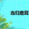 當歸鹿茸散（關于當歸鹿茸散介紹）