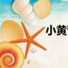 小黃營（關于小黃營簡介）