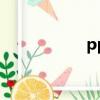 ppm面板（ppmm）