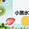 小黑水雞（關于小黑水雞簡介）