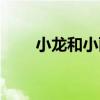 小龍和小麗（關于小龍和小麗簡介）