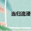 當歸流浸膏（關于當歸流浸膏介紹）