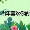當年喜歡你的我（關于當年喜歡你的我介紹）