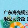 廣東海亮銅業有限公司（關于廣東海亮銅業有限公司介紹）