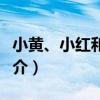 小黃、小紅和小綠（關于小黃、小紅和小綠簡介）
