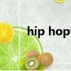 hip hop音樂分支（hip hop音樂）