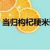 當歸構杞粳米粥（關于當歸構杞粳米粥介紹）