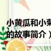 小黃瓜和小菊花的故事（關于小黃瓜和小菊花的故事簡介）