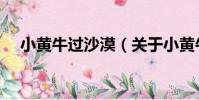 小黃牛過沙漠(關于小黃牛過沙漠簡介)