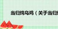 當歸燉烏雞(關于當歸燉烏雞介紹)