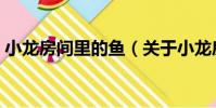 小龍房間里的魚(關于小龍房間里的魚簡介)