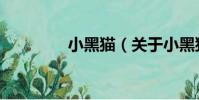 小黑貓(關于小黑貓簡介)