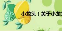小龍頭(關于小龍頭簡介)