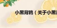 小黑背鷗(關于小黑背鷗簡介)