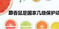 麝香鼠是國家幾級保護動物(麝香鼠)