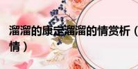 溜溜的康定溜溜的情賞析(溜溜的康定溜溜的情)