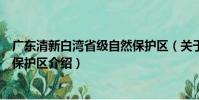廣東清新白灣省級自然保護區(關于廣東清新白灣省級自然保護區介紹)
