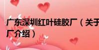 廣東深圳紅葉硅膠廠(關于廣東深圳紅葉硅膠廠介紹)