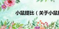 小鼠提比(關于小鼠提比簡介)