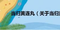 當歸黃連丸(關于當歸黃連丸介紹)