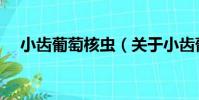 小齒葡萄核蟲(關于小齒葡萄核蟲簡介)