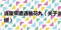 當廢柴遭遇桃花九(關于當廢柴遭遇桃花九介紹)