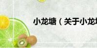 小龍塘(關于小龍塘簡介)