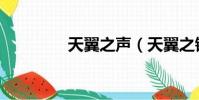 天翼之聲(天翼之鏈私服)