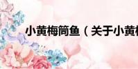 小黃梅筒魚(關于小黃梅筒魚簡介)