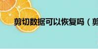 剪切數據可以恢復嗎(剪切數據恢復)