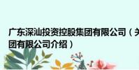 廣東深汕投資控股集團有限公司(關于廣東深汕投資控股集團有限公司介紹)