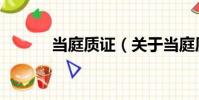 當庭質證(關于當庭質證介紹)