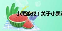 小黑游戲(關于小黑游戲簡介)