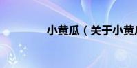 小黃瓜(關于小黃瓜簡介)