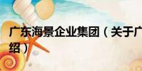廣東海景企業集團(關于廣東海景企業集團介紹)