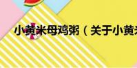 小黃米母雞粥(關于小黃米母雞粥簡介)