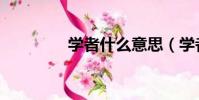 學者什么意思(學者護腕)
