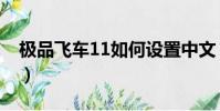極品飛車11如何設置中文(極品飛車11配置)