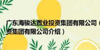 廣東海駿達置業投資集團有限公司(關于廣東海駿達置業投資集團有限公司介紹)