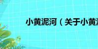 小黃泥河(關于小黃泥河簡介)