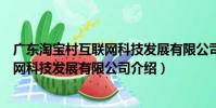廣東淘寶村互聯網科技發展有限公司(關于廣東淘寶村互聯網科技發展有限公司介紹)