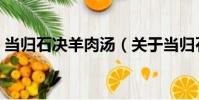 當歸石決羊肉湯(關于當歸石決羊肉湯介紹)