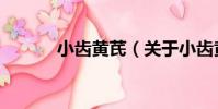 小齒黃芪(關于小齒黃芪簡介)