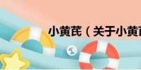 小黃芪(關于小黃芪簡介)