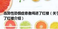 當異性恐懼癥患者闖進了紅樓(關于當異性恐懼癥患者闖進了紅樓介紹)
