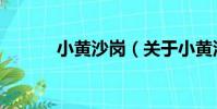 小黃沙崗(關于小黃沙崗簡介)