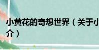 小黃花的奇想世界(關于小黃花的奇想世界簡介)
