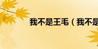 我不是王毛(我不是方大同)