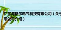 廣東海格爾電氣科技有限公司(關于廣東海格爾電氣科技有限公司介紹)