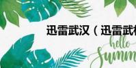迅雷武漢(迅雷武林英雄)